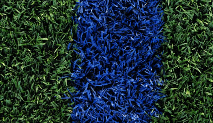 SYNTHETIC GRASS