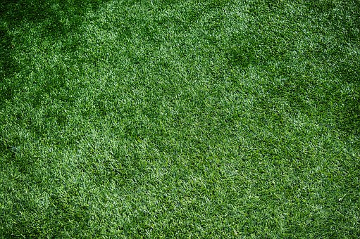 fake grass